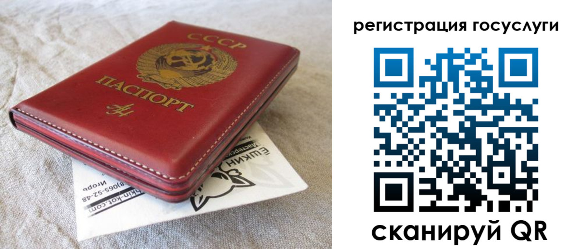 регистрация для школы в Гусь-Хрустальном