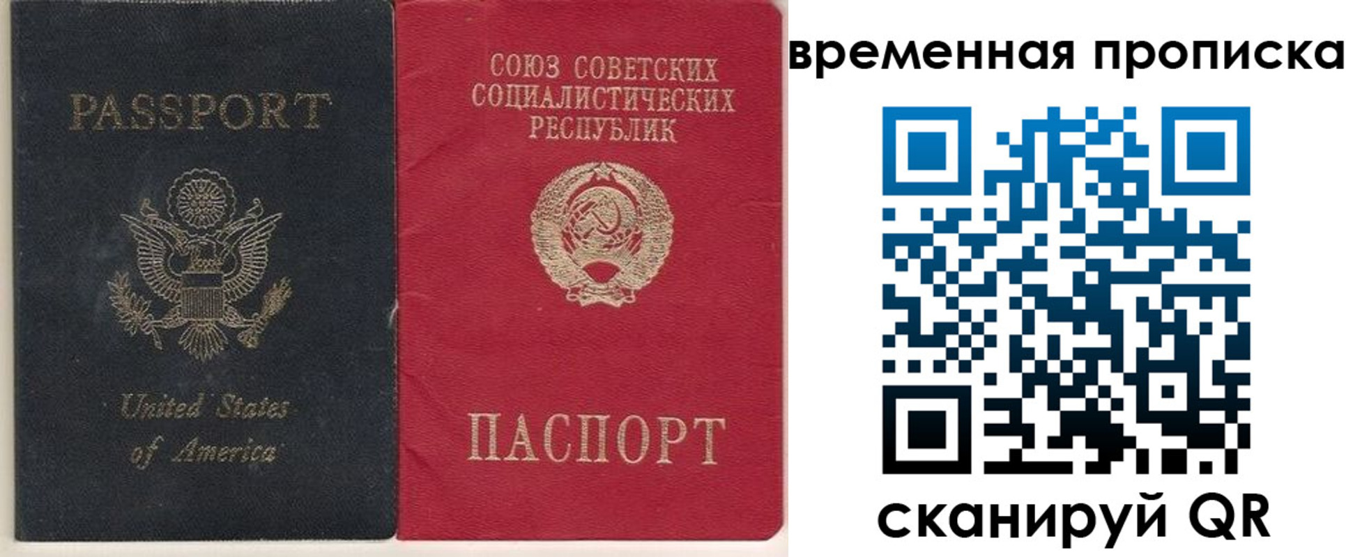 прописка для школы в Гусь-Хрустальном
